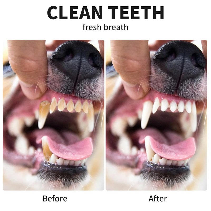 Upgraded Pet Teeth Cleaning Tools Dog Teeth Brushing Set - 360-degree Silicone Toothbrush, Protect Pet Oral Hygiene. Silicone Dog Toothbrush Fingertip. - PawsPlanet Australia