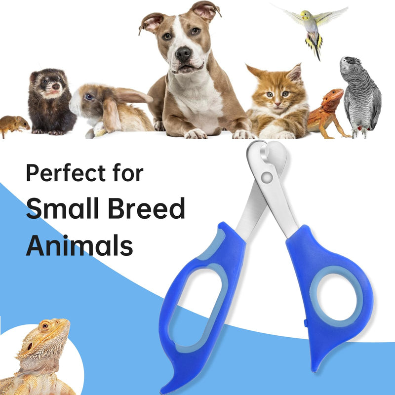 Bearded Dragon Nail Clippers,Stainless Steel Bearded Dragon Toe Nail Clippers with Precise Angled Edges,Professional Grooming Pet Tool for Reptile Nail Clippers Bearded Dragon - PawsPlanet Australia