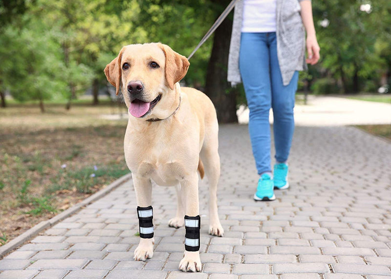 NeoAlly Dog Canine Front Leg Compression Braces Super Supportive with Metal Spring Strips to Stabilize Dog Front Leg Wrist Carpal, Prevents Leg Injuries & Sprains (XXS/XS Pair) XXS/XS (1 Pair)