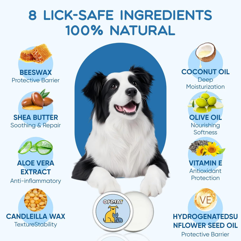 Dog Paw Balm - Paw Balm Dogs Lick Safe,Moisturizing & Soothing Paw & Nose Balm for Dogs,Healing Protection for Cracked Skin on Paws and Noses (2OZ) 2.1 Oz Coconut flavor - PawsPlanet Australia