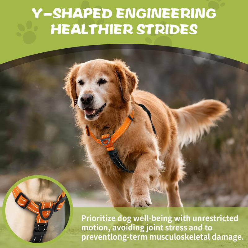 No-Pull Harness,Y-Shaped Design,Buckle-Neck Balance Harness with Reflective Stitching, Ideal for Dog Training and Night Walking, Padded Handle, Durable High-Tensile Nylon-Orange-M Orange M - PawsPlanet Australia