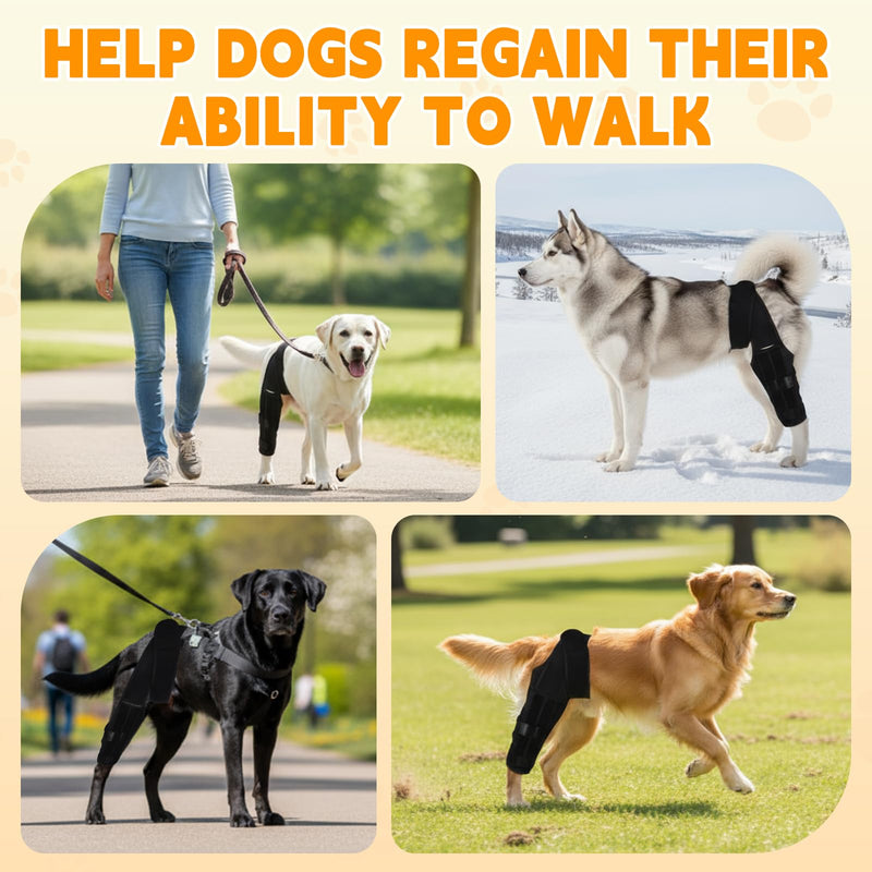 Dog Knee Brace for Hind Leg – Adjustable Rear Leg Support with 2 PP Resin Bars, Helps Torn ACL, Ligament Injuries, Luxating Patella & Hip Dysplasia Recovery for Left/Right Hind Leg (M)