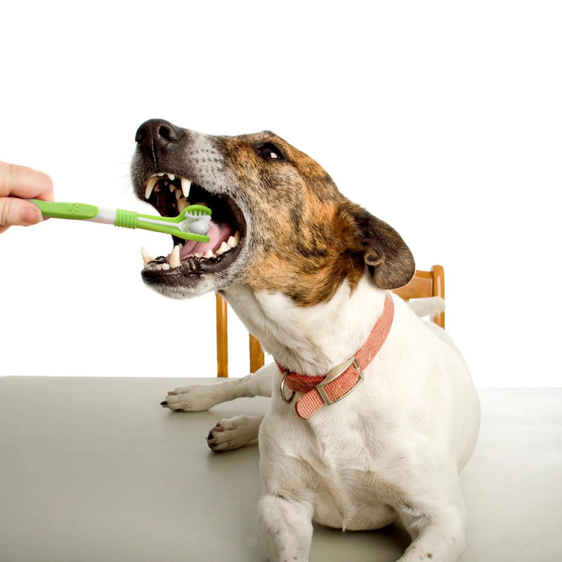 Pack of 2 dog toothbrushes, long handle dog toothbrush, cat toothbrush, three-head pet toothbrush, 360 degree cleaning of the mouth, comfort and durability, for cleaning dogs and cats