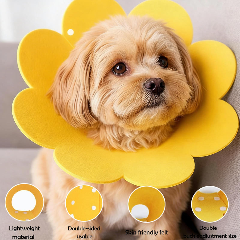 4 Pieces Cat Protective Collar, Cat Neck Brace, Pet Neck Brace Flower Shape, Soft Protective Collars for Cats and Dogs, Yellow, Orange, Pink and Blue