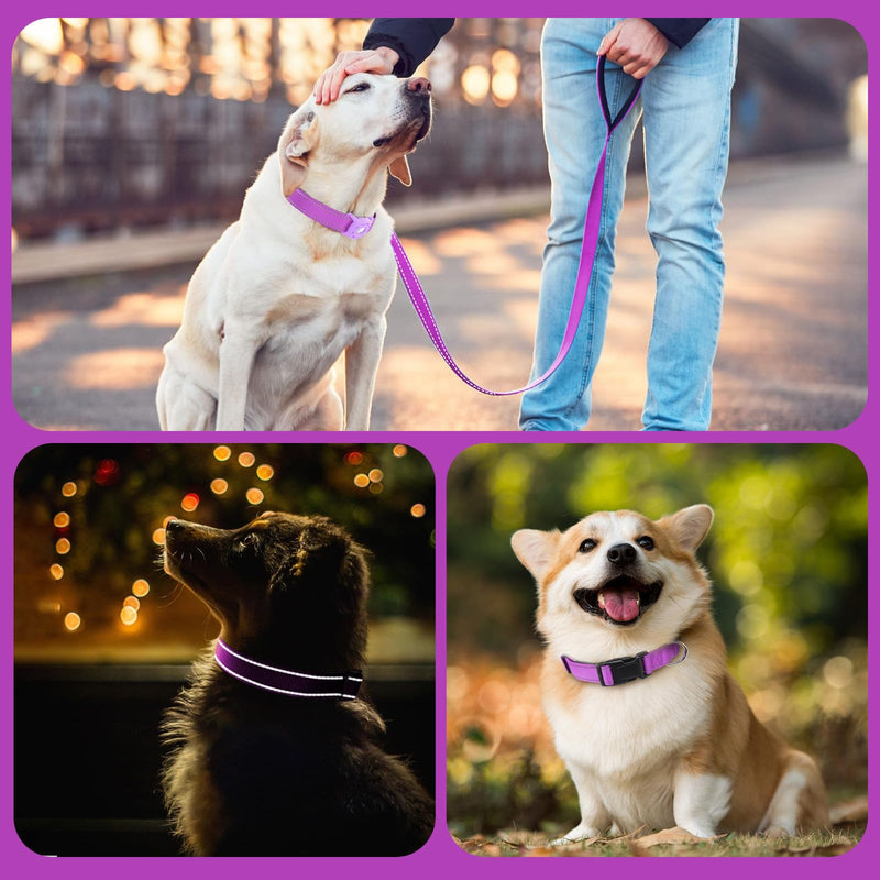 Kuley AirTag Dog Collar and Reflective Leash Set Bundle with Airtag Holder Case,Adjustable Padded Nylon Pet Collar for Small Medium Large Dogs(Purple, Medium) Purple - PawsPlanet Australia