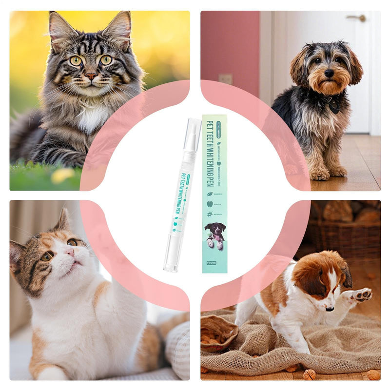Pet Toothbrush Pen | Whitening Pen for Dog Teeth | 5 ml Stain Remover, Repair of Fresh Teeth | Brushes for Cats and Puppies