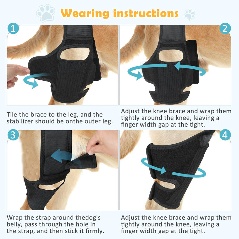 Dog Knee Brace for Torn ACL Hind Leg， Supports Large and Small Dogs with CCL, Cruciate Ligament Injury, Osteoarthritis Relief, Enhances Mobility and Better Recovery (M) Medium - PawsPlanet Australia