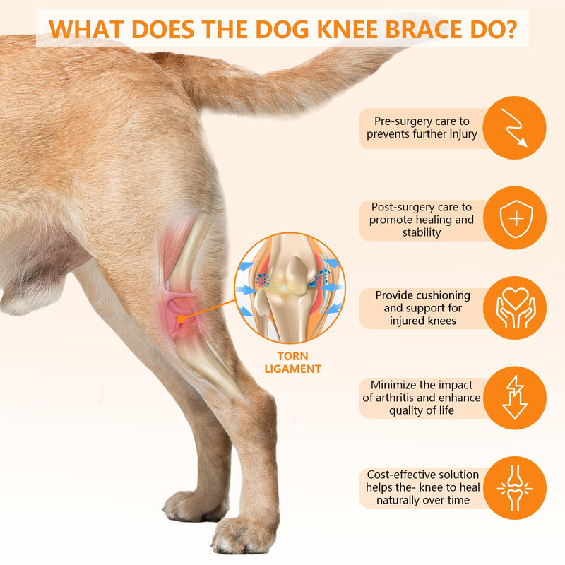 Adjustable Dog ACL Knee Brace - Hind Leg Support, Ligament Recovery, Cruciate Care - Large/Medium Sizes - Extra Stabilizers, Comfortable Wrap with Straps(Black M Size)