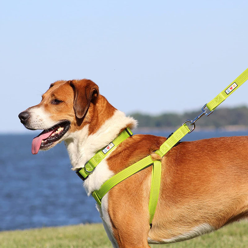Pawtitas Value Bundle Set | Extra Small Reflective Dog Harness + Extra Small Reflective Dog Collar + Extra Small Reflective Dog Leash – Orchid Set - PawsPlanet Australia