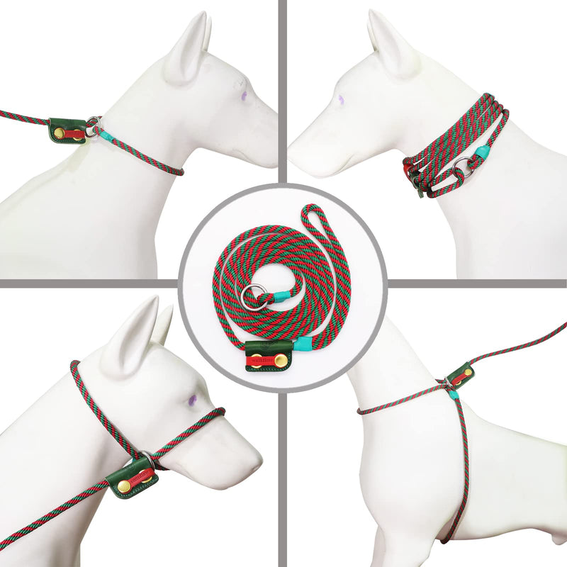 Slip Lead Dog Leash,Dog Harness and Leash Set for Walking - Head Collar with Rope Leashes for Pulling - DIY Dogs Scarf 6ft Dog Leash x 1/4in Thick Green Slider - PawsPlanet Australia