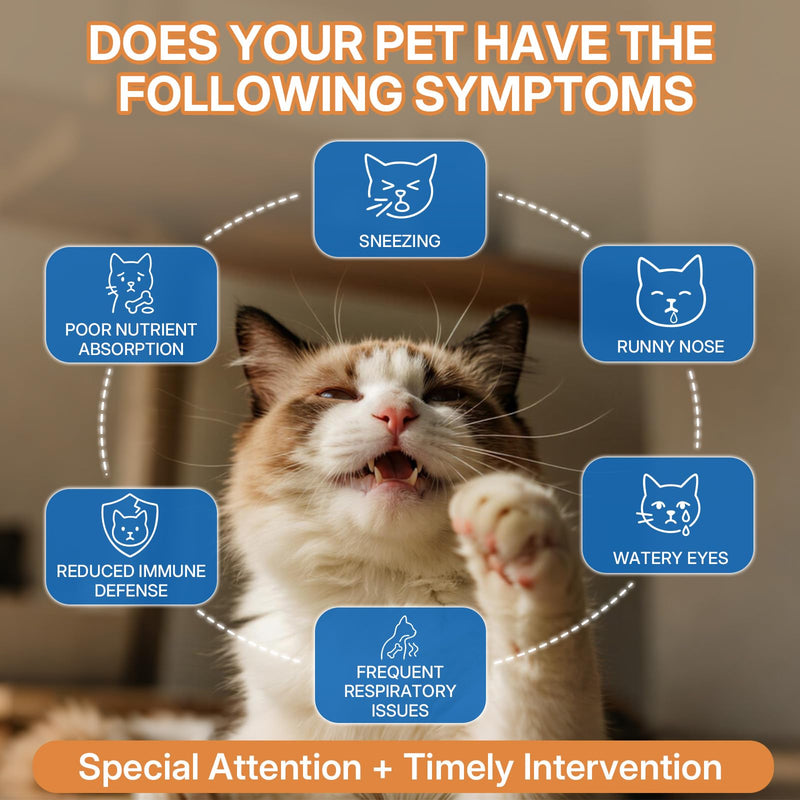 WEALLIN L-lysine Supplement for Cats, Immune Support for Cats, Support for Feline Respiratory, Sneezing, Runny Nose, Eye Function, Helps Strengthen Natural Defenses, Chicken Flavor (1PC) 1PC