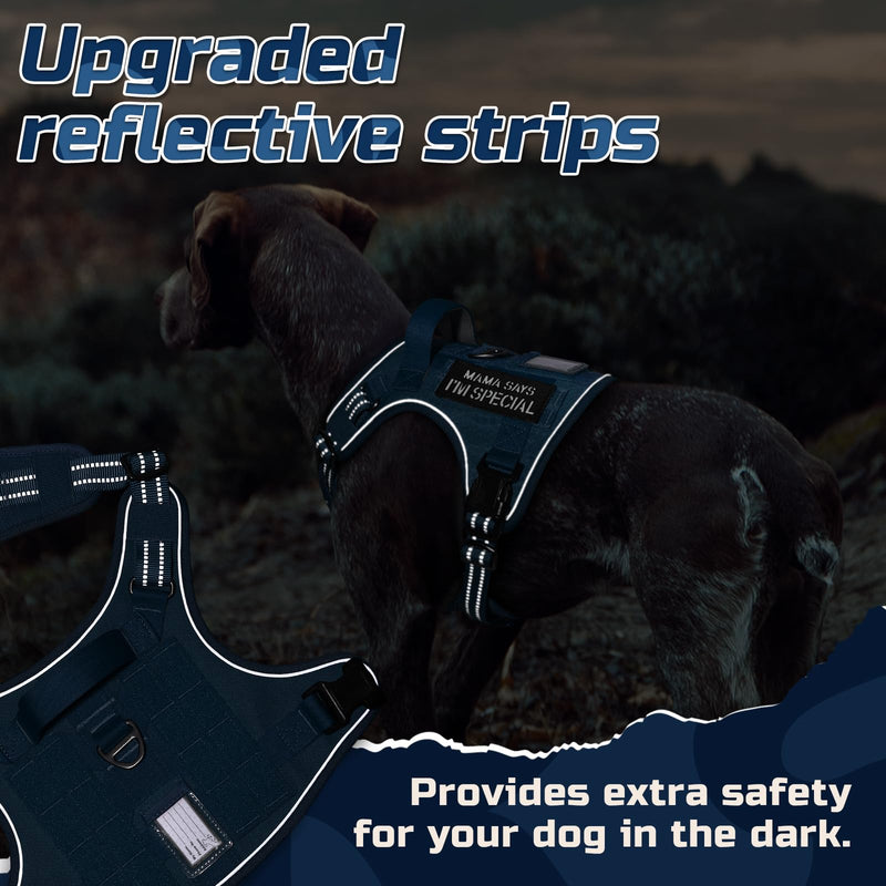 rabbitgoo Dog Harness No Pull, Military Dog Harness Medium Sized Dog with Handle & Molle, Easy Control Service Dog Vest Harness Training Walking, Adjustable Reflective Tactical Pet Harness, Blue, M - PawsPlanet Australia