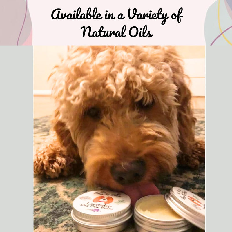 Dog Paw & Nose Balm with Vitamin E - Alcohol Free, Natural Lick-Safe Paw Protector for Cracked Pads & Dry Nose, Softening Vit E Infused Moisturiser for Daily Grooming, 60ml (Large) Large