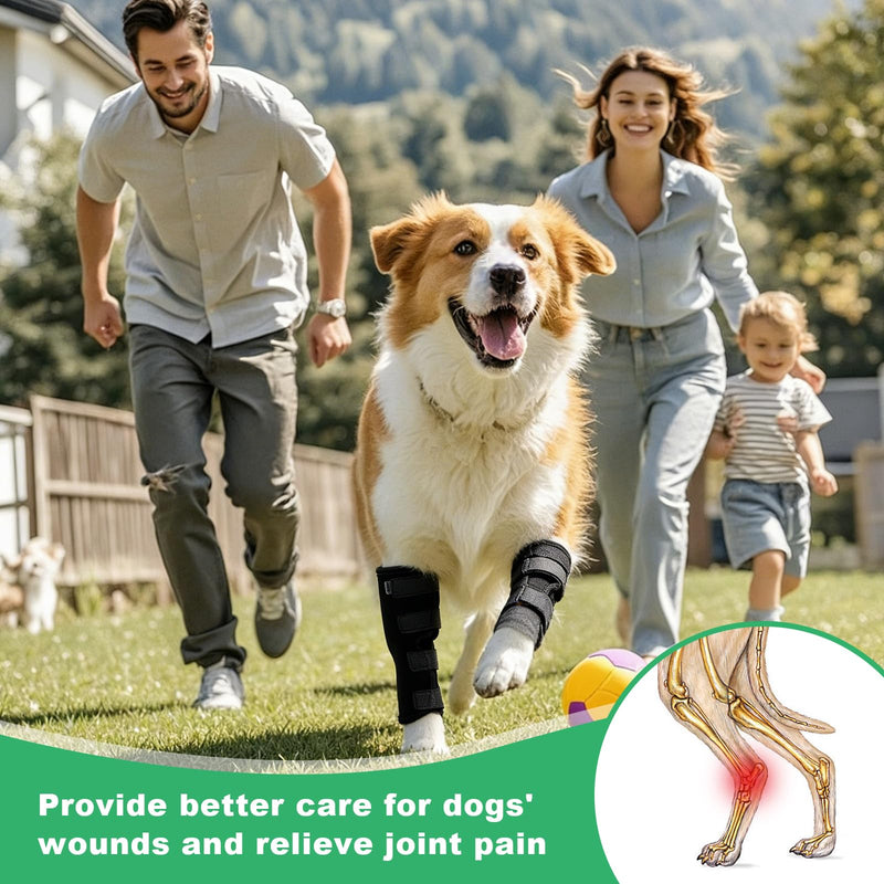 Ankle Bandage for Dogs, Pack of 2 Leak Protection, Dog Hind Leg, Dog Bandage for Wrap, Wound, Injury and Sprain Healing, Dog Leg Bandage for Front and Rear Legs, M