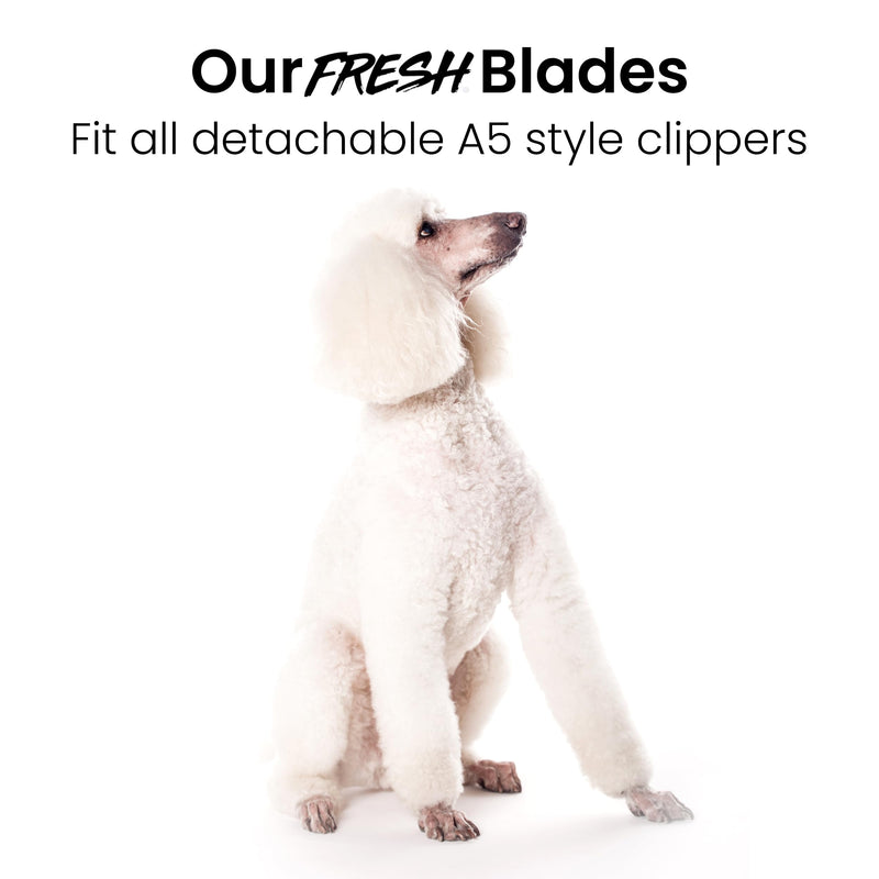 Fresh 5-in-1 Adjustable Pet Grooming Clipper Blades, Fits Wahl 5-in-1 Adjustable Clippers Along with Most Other Brands, Dog Grooming Supplies, Rose Gold - PawsPlanet Australia
