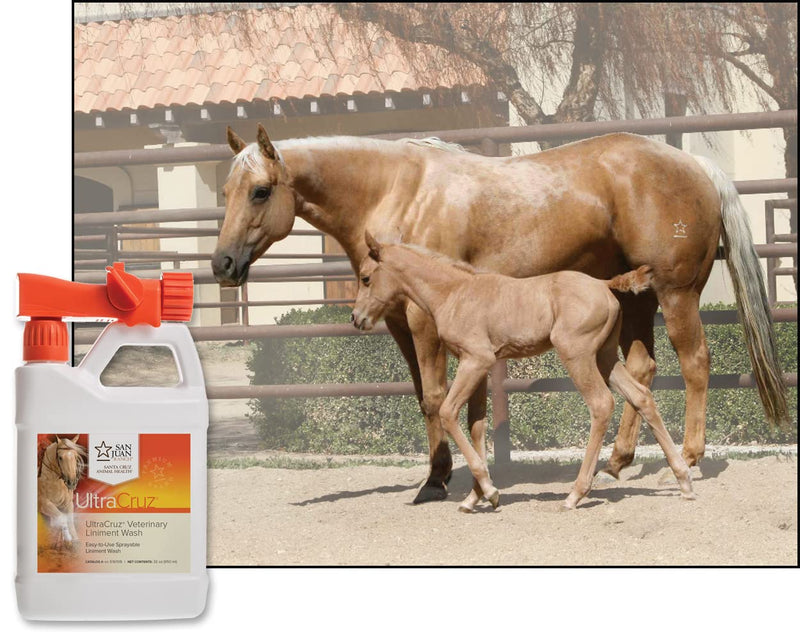 UltraCruz® Veterinary Liniment Wash for Horses, 32 oz with Travel Sprayer - PawsPlanet Australia