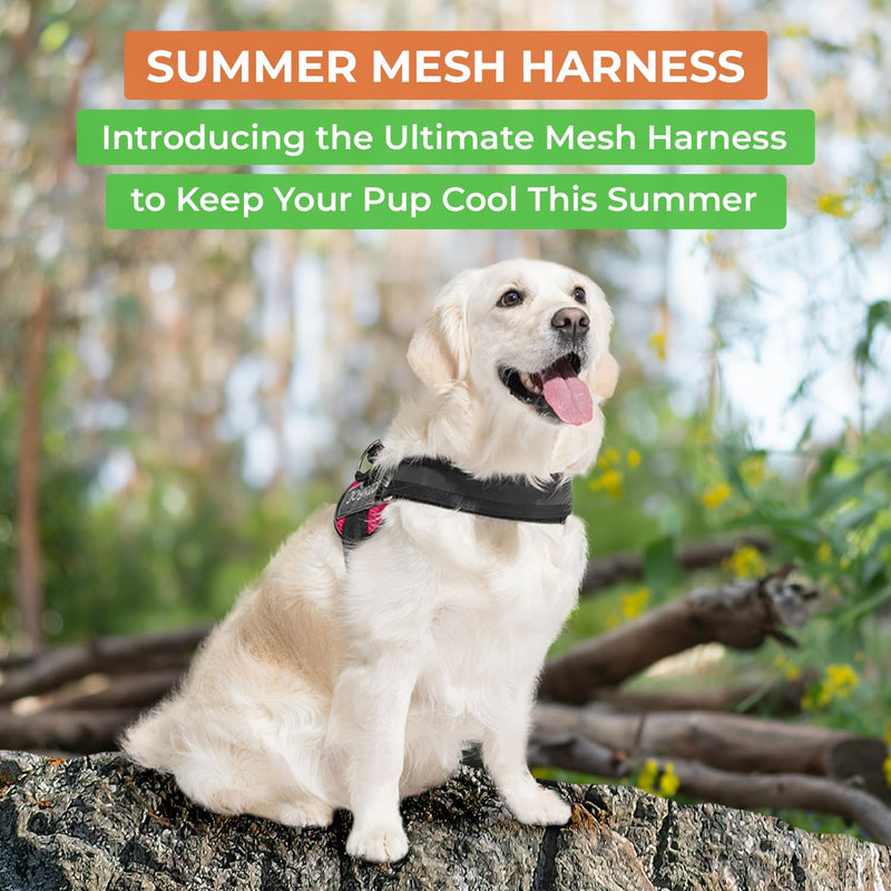 Joyride Harness Summer Mesh Vest – 2.0 No Pull Dog Harness - Adjustable, Breathable Vest - Custom Name Tag Included - Perfect for Small, Medium & Large Dogs Rose Red X-Large - PawsPlanet Australia