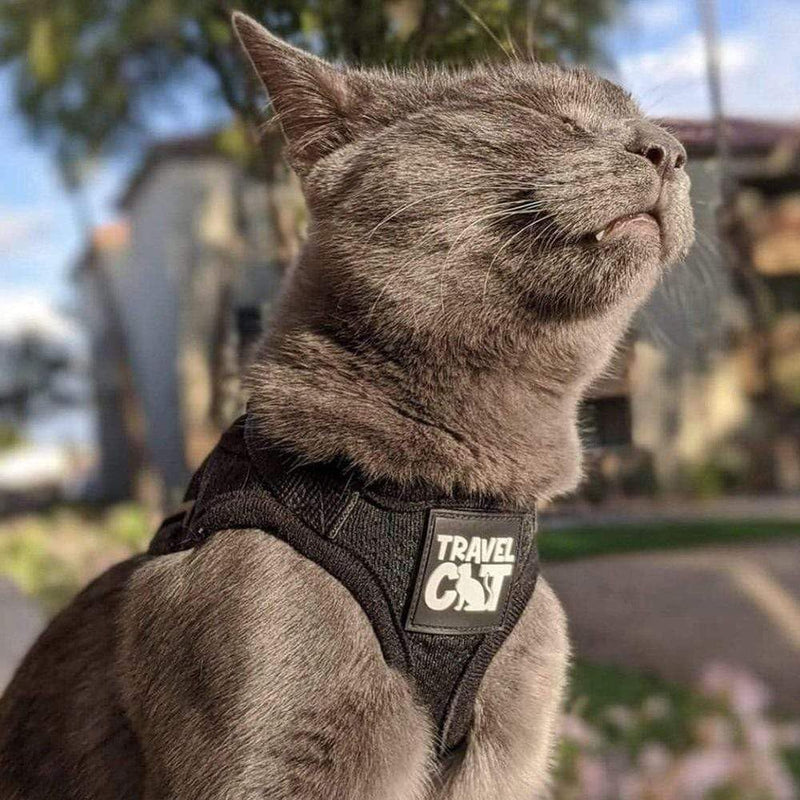 Travel Cat Harness and Leash Set - Adjustable Fit Mesh Cat Harness and Reflective Strap - Comfort Walking Vest for Kitten for Outdoor Walking, Hiking (Small, Black) Small