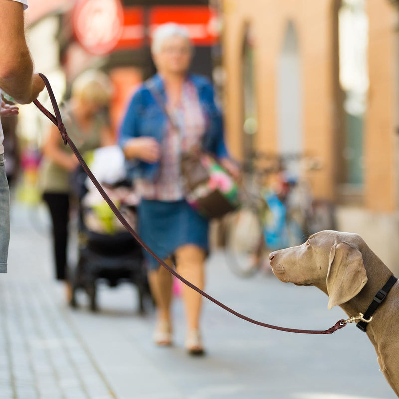 QUMY Leather Dog Leash 6ft, Heavy Duty Dog Training Leash for Large and Medium Dogs, Soft and Strong Genuine Leather Braided Handmade Long Lead Leash for Dog Training, Brown