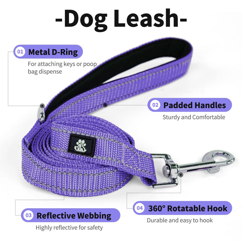 IVY&LANE Dog Harness Set Bundle Dog Collar and Leash Set | Small | Purple - PawsPlanet Australia