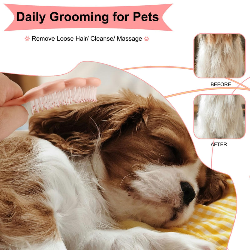 Cloud-Shaped Soft Bristle Puppy Brush for Small Dogs - Yorkie, Shih Tzu, Maltese, and Toy Poodles Grooming Tool with Detachable Lint Comb and Gift Box （Pink） Pink - PawsPlanet Australia