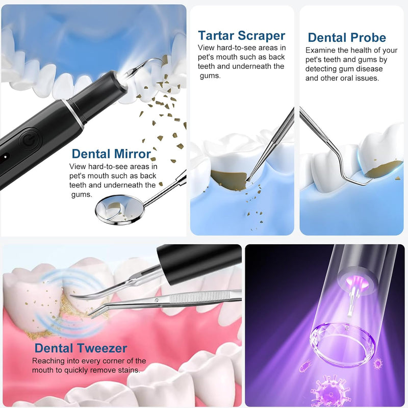 PAWZIDEA Dog Plaque Remover for Teeth Ultrasonic 44kHz, Intelligent Pet Ultrasonic Tooth Cleaner, Tartar Remover for Dog Teeth Cleaning Kit, Canine/Cat Toothbrush Scaler Dental Care Tool, Rechargeable Black - PawsPlanet Australia