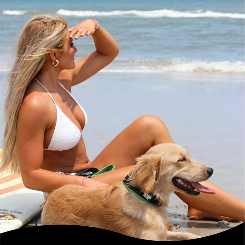 Black Rhino Dog Collars for Medium Dogs - Adjustable Reflective Heavy Duty Dog Collar with Ultra-Soft Neoprene Padding - Weatherproof, Durable, and Comfortable - Ideal for Active Dogs - Red and Black Red/Black - PawsPlanet Australia