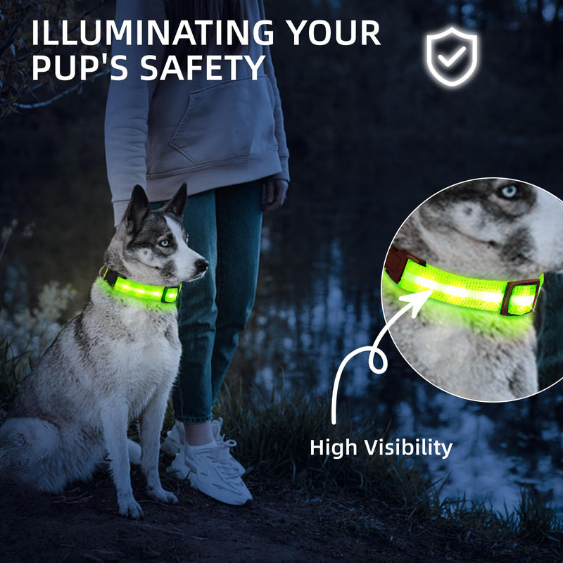 Super Bright LED Dog Collar - Fully Waterproof & Adjustable Glow Collar - USB-C Rechargeable for Night Walking, Safety - Flashing Lighted Collar for Dogs(Green,Medium) Medium (14.5" - 19.5" ) Green - PawsPlanet Australia