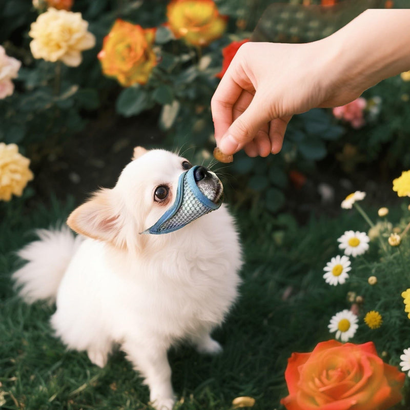 Dog Muzzle for Small Medium Dogs to Prevent Biting for Brachycephalic Dogs with Short Snout,Chihuahua Pom Shih Tuz,Soft Breathable Lightweight Mesh,Open Front,for Grooming Vet Visits (Summer Blue, XS) Summer Blue XS Snout (5.3"- 5.9") - PawsPlanet Australia