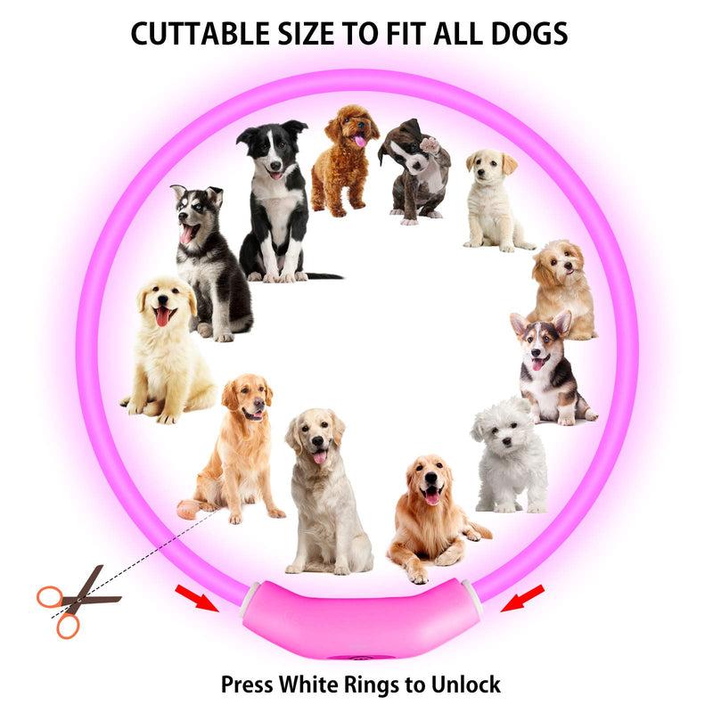 2-Pack LED Dog Collar, Light Up Dog Collars,Rechargeable Dog Lights for Night Walking，Universal, Reusable Safety Necklace for Small Medium Large Dogs RED&Pink - PawsPlanet Australia