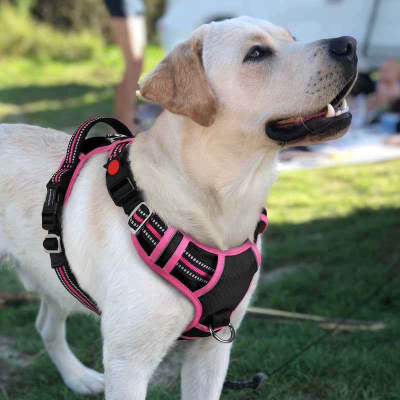 rabbitgoo Dog Harness for Large Dogs, No Pull Pet Vest with 3 Buckles, Adjustable Soft Padded Pet Harness with Easy Control Handle and Reflective Strips, Black & Rose Pink, L - PawsPlanet Australia