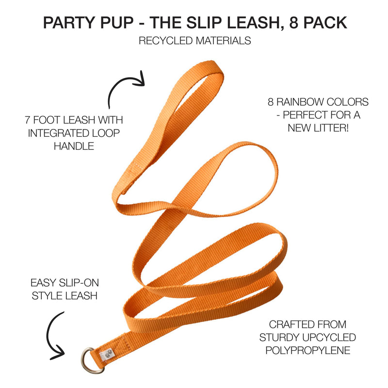 8-Pack Slip-on Style Dog Leash in Rainbow Colors 7 ft. for All Pet Breeds, Rainbow Pinks, One Size - PawsPlanet Australia