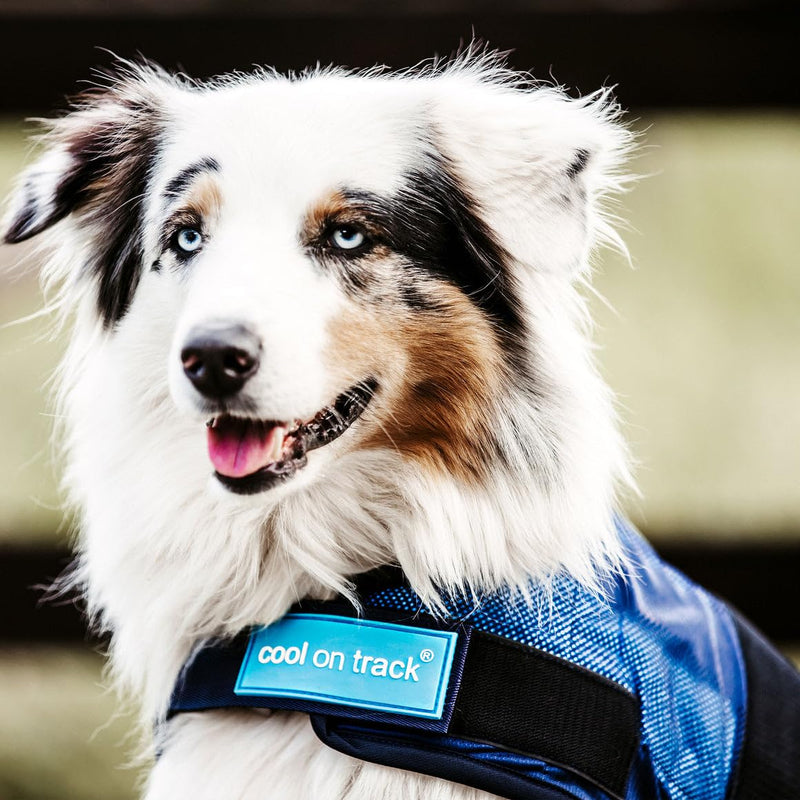 Back on Track Cool on Track Cooling Dog Coat (S2, 40cm / 14-16.5")