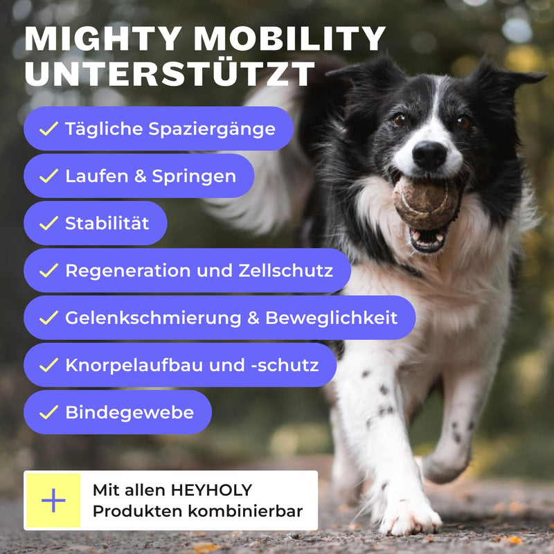 HEY HOLY Premium Joint Powder Dogs Mighty Mobility Green-Lipped Mussel Dog Joint & Bone Protection for Dogs 200 g Supports Joint Pain & Preventive Alternative to Joint Tablets