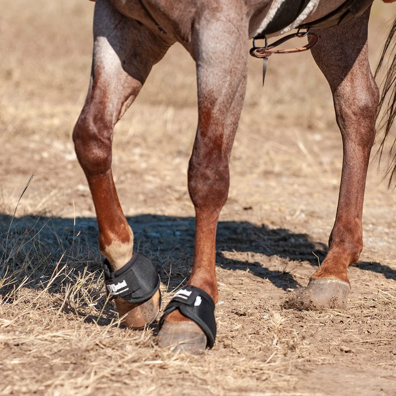 Cashel NO Turn Bell Boot X-Large - PawsPlanet Australia