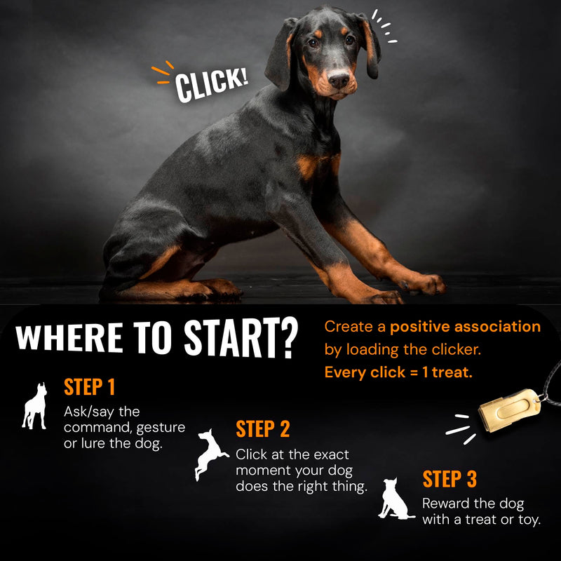 Gold Dog Clicker with Necklace - Clickers for Pet Training - Dog Training & Behavior Aids Easy to Carry with You Anywhere - Teach Your Dog Tricks or Reward His Behavior 1 Pack Gold - PawsPlanet Australia