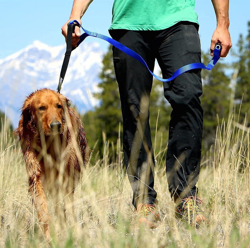 Leash Boss Original - Heavy Duty Dog Leash for Large Dogs - No Pull Double Handle Training Lead for Walking Big Dogs - Dog Leashes with Padded Handle for Control and Safety (Blue) Blue - PawsPlanet Australia