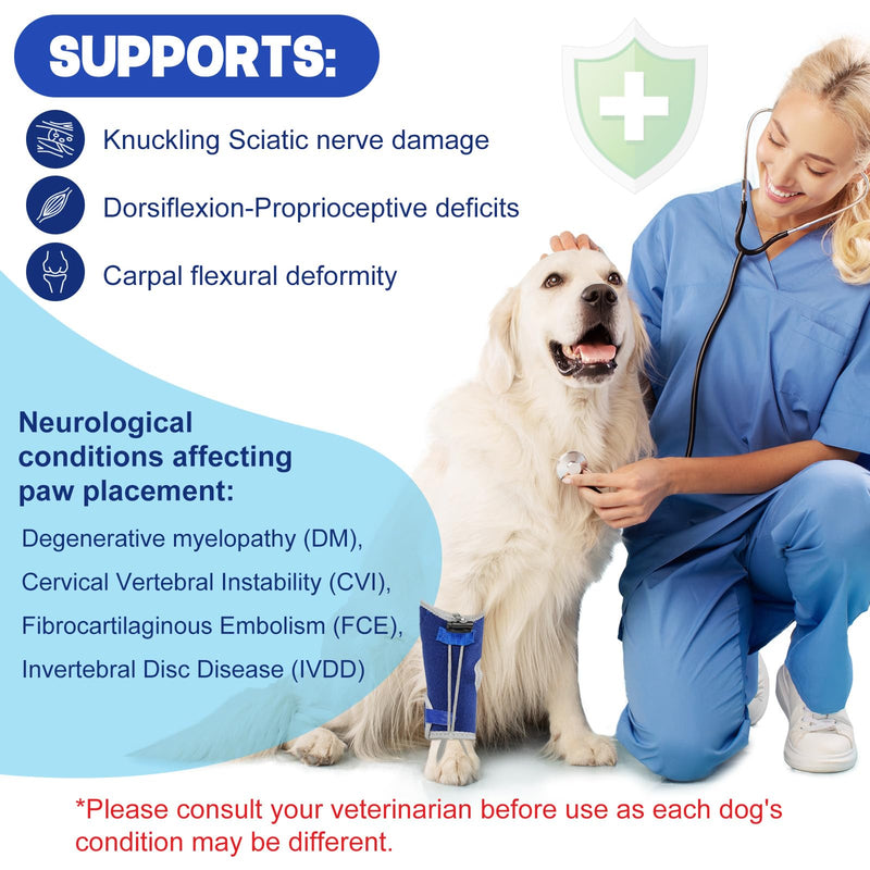 Dog Knuckling Braces Wrap for Hyperflexion of Phalanges Cause by Sciatic Nerve Damage & Carpal Flexural Deformity - Dual Locking Straps for Safe Adjustable Toe Lift Support (Blue, X-Large) Blue