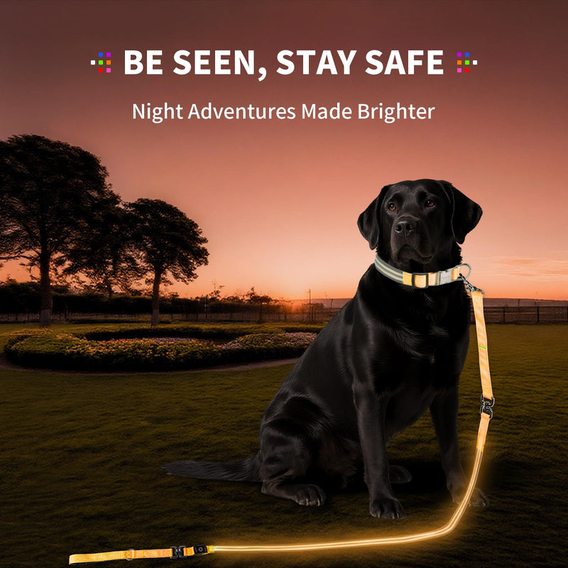 PetIsay Night Walking LED Dog Leash - 6FT Reflective & Waterproof Light Up Safety Leashes for Dogs - USB Rechargeable, Orange 6 feet Orange(Fiber optic version) - PawsPlanet Australia
