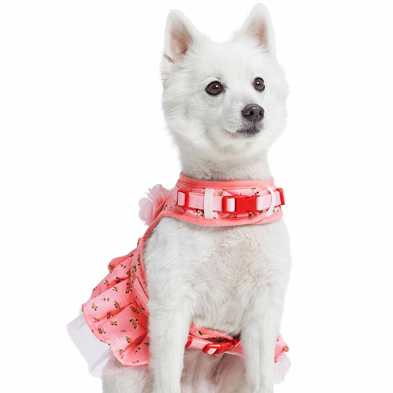 Blueberry Pet Soft & Comfy Floral No Pull Mesh Dog Harness, X-Small, Rose Baby Pink, Dress Harness for Dogs Girl, Small Dog Vest Harness, Fashionable for Puppy Owners X-Small (Pack of 1) - PawsPlanet Australia