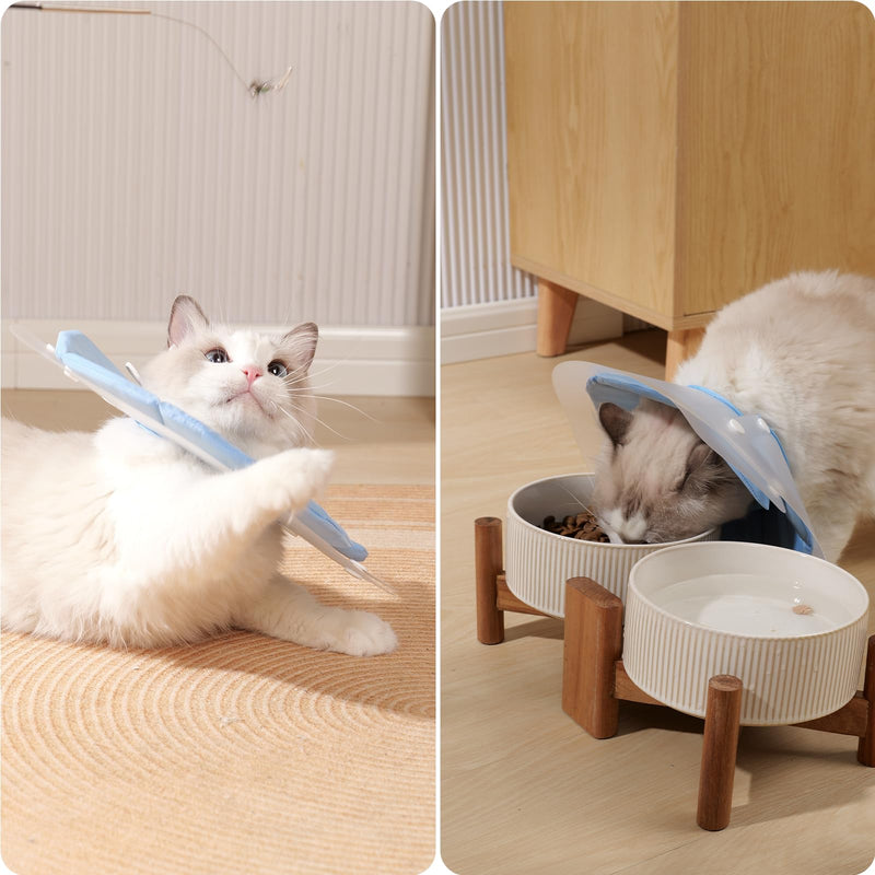 KUDES Dual Layer Cat Cone, Dual-Purpose Model Lightweight All-Around Protective Neck After Surgery E Collar to Wound (Blue M (7.8inch- 13.3inch)) Blue M (7.8inch- 13.3inch) - PawsPlanet Australia