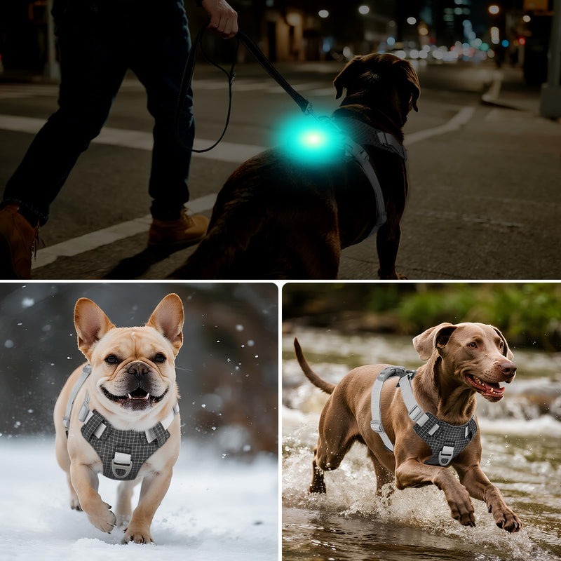 Joytale Lightweight Light Up Dog Harness, Rechargeable No-Pull LED Dog Harness with Detachable Light Box, Airtag Holder, Adjustable for Night Walking, Running & Everyday Use, Black, M - PawsPlanet Australia