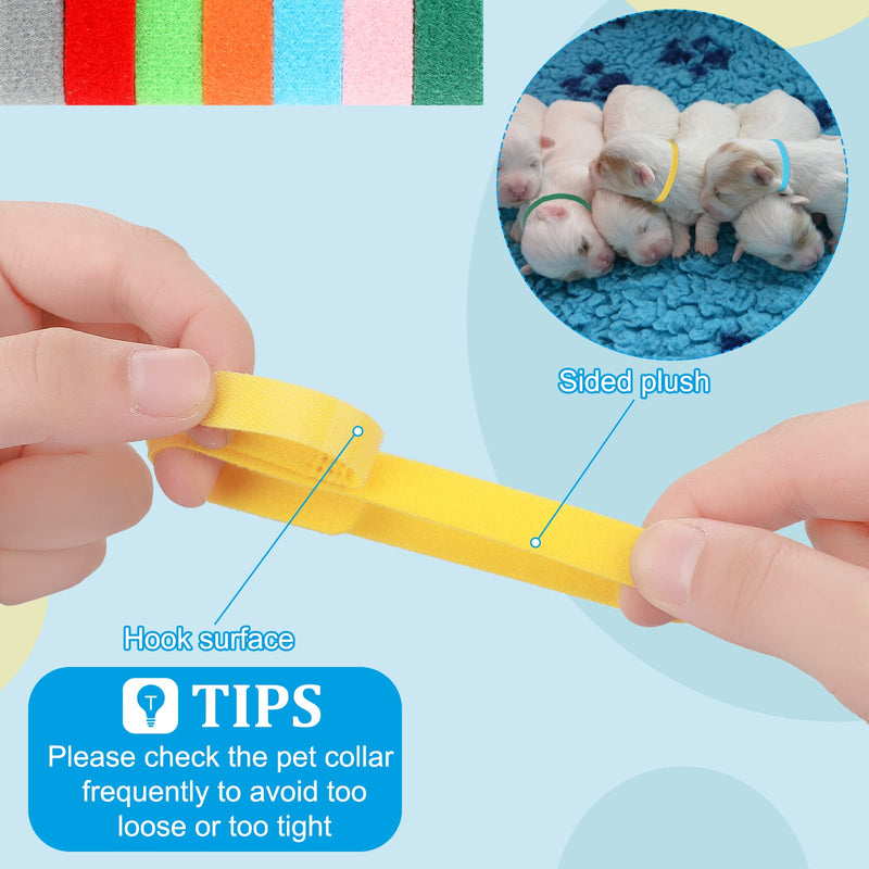 48 Pcs Puppy Kitten Whelping Kit Include 4 Puppy Feeding Tube, 6 Record Keeping Charts, 15 Puppy Whelping Collars, 15 Cord Clamps, 2 Gloves, Bulb Aspirator, Syringe, Bottle, Scissors, Stethoscope, Bag - PawsPlanet Australia