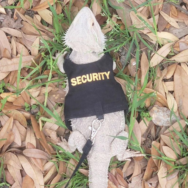 Bearded Dragon Leash and Harness Set, Reptile Lizard Vest Pet Tank Accessories Bearded Dragon Clothes with 5ft Leash Kit,Black Black-1 For Chest Girth 6.4-8.6" - PawsPlanet Australia