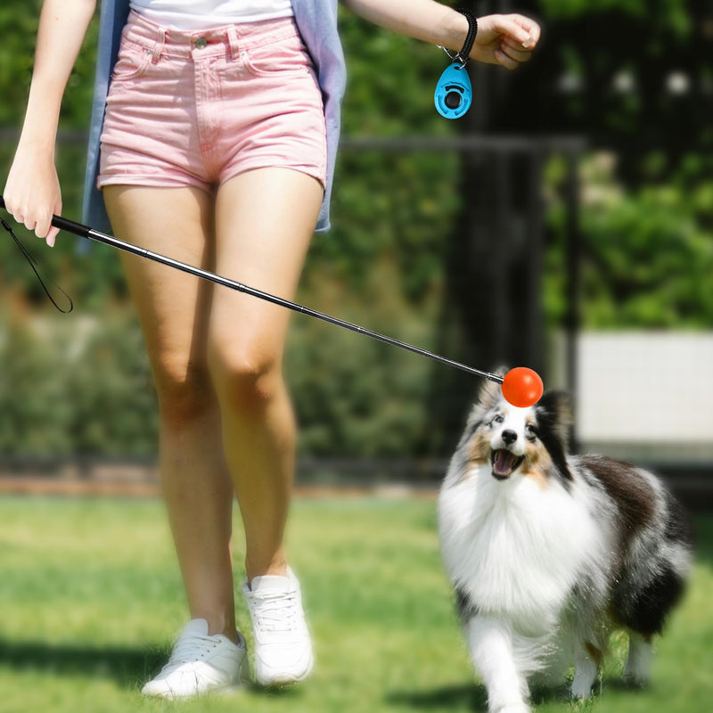 Training Kit - 1 Target Stick, 1 Training Clicker, 1 Whistle - Dog Training Equipment Tools, Cat Toilet Trainer Kit, Agility Training Lure Course For Dogs, Kitten Puppy Behavior Aids Trick (A Type) B Type - PawsPlanet Australia