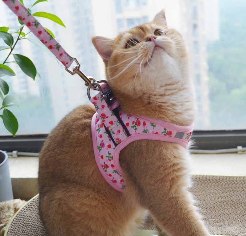 Moonpet Step in Valentine's Day Dog Harness Leash Set- All Weather Reflective No-Pull Floral Pattern Padded Mesh Vest Harness for Cats Puppy Extra-Small Small Medium Large Dogs - Heart Rose - XXS XXS:neck 10.2’’-11.8’’,chest 13’’-14.5’’ - PawsPlanet Australia