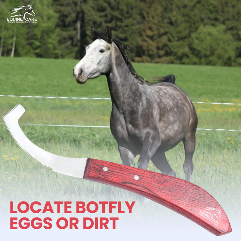 Bot Egg Knife for Horses – Precision Grooming Tool for Bot Egg Removal – Stainless Steel Blade with Ergonomic Handle – Horse Grooming Scraper, Coat Care, and Bot Fly Egg Scraper Tool - PawsPlanet Australia