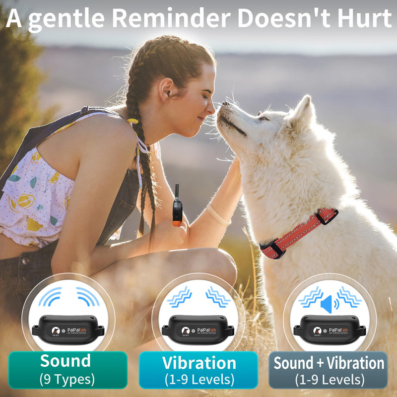 PaiPaitek Dog Vibration Collar with Controller No Shock, 3300ft Waterproof Training Dog Collar Beep and Vibrate Only, Security Lock & Rechargeable Vibrating Collar for Dogs 5-120 lbs - No Prongs PD519V1-OR - PawsPlanet Australia