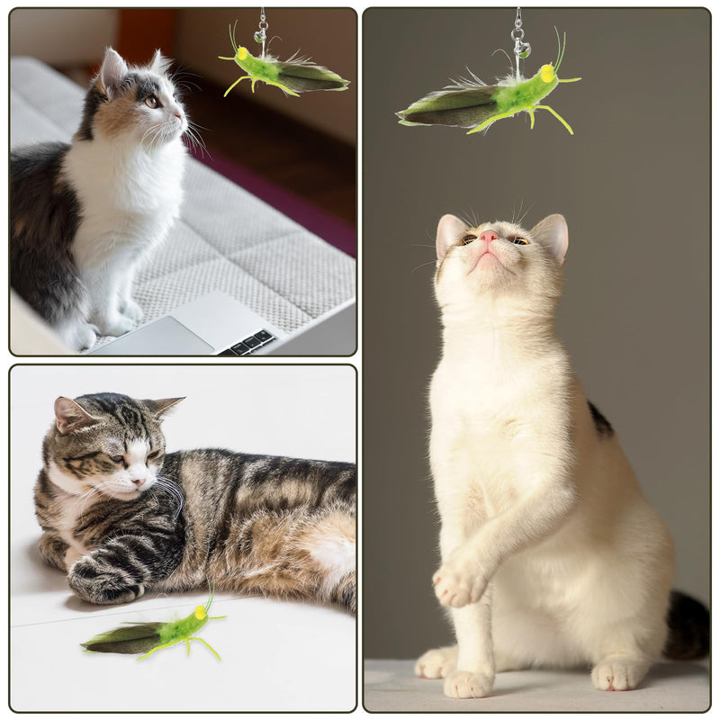 Cat Feather Toys Refills 3 Pack Insects Grasshopper Cat Toy Wand Fun Replacement Feathers Small Cats Interactive Toys Hanging Toy Attachments for Indoor Kittens Cats Teaser Wand Accessory - PawsPlanet Australia