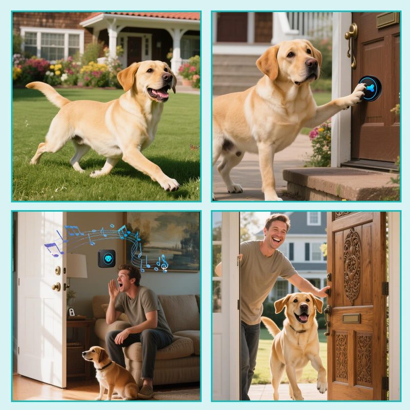 Dog Doorbell to Go Outside, Smart Wireless Doggie Doorbell for Potty Training,1000 Feet Long Range with IP65 Waterproof Super-Light Touch Button, 60 Melodies & Adjustable Volume (2 Button) - PawsPlanet Australia